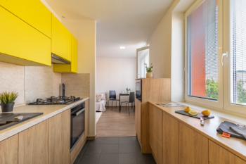 Prodej bytu 3+1 v osobním vlastnictví 64 m², Litvínov