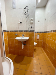 Pronájem bytu 1+1 v osobním vlastnictví 36 m², Duchcov