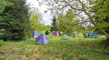 Prodej pozemku 1492 m², Gruna