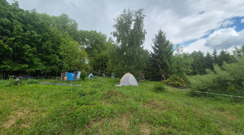 Prodej pozemku 1492 m², Gruna