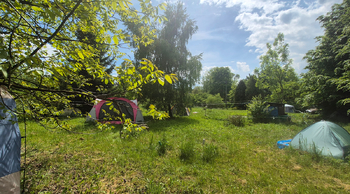 Prodej pozemku 1492 m², Gruna