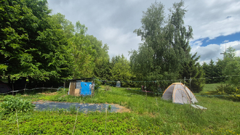 Prodej pozemku 1492 m², Gruna
