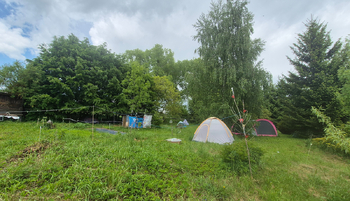 Prodej pozemku 1492 m², Gruna