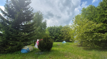 Prodej pozemku 1492 m², Gruna