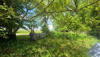 Prodej pozemku 1492 m², Gruna