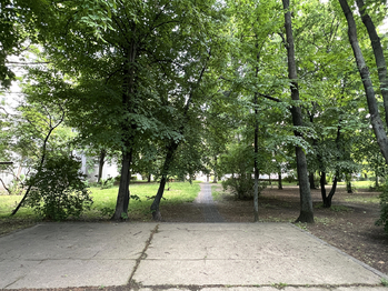 Pronájem bytu 2+1 v osobním vlastnictví 63 m², Praha 10 - Vršovice