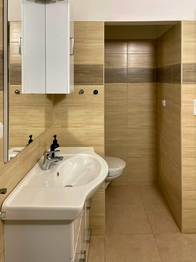 Pronájem bytu 1+1 v osobním vlastnictví 90 m², Rakovník