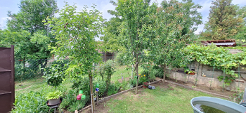 Zahrádka - Prodej chaty / chalupy 55 m², Hvězdlice