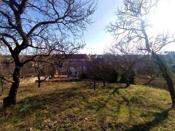 Prodej pozemku 558 m², Horní Dunajovice