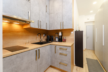 Prodej bytu 1+kk v osobním vlastnictví 32 m², Praha 9 - Libeň