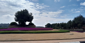 Pronájem bytu 3+kk v osobním vlastnictví 75 m², San Miguel de Salinas
