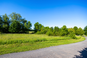 Prodej pozemku 2875 m², Ondřejov