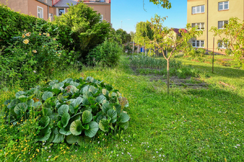 Pronájem bytu 3+1 v osobním vlastnictví 78 m², Kolín
