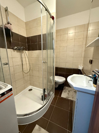 Pronájem bytu 1+1 v osobním vlastnictví 37 m², Plzeň