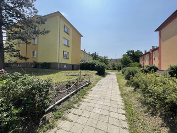 Pronájem bytu 2+1 v osobním vlastnictví 64 m², Hodonín