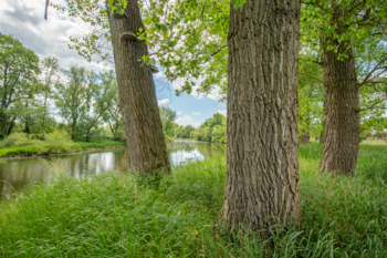 Prodej chaty / chalupy 80 m², Počedělice