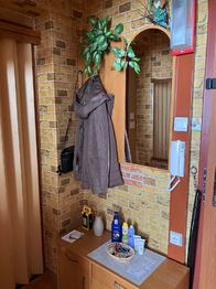 Pronájem bytu 2+1 v družstevním vlastnictví 44 m², Orlová