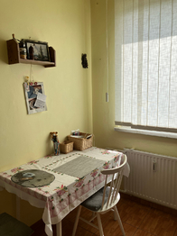 Pronájem bytu 2+1 v družstevním vlastnictví 44 m², Orlová