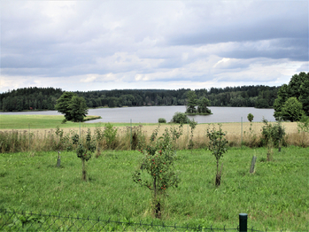 Pronájem domu 183 m², Blažejov