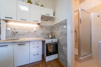 Prodej bytu 2+kk v družstevním vlastnictví 40 m², Praha 10 - Vršovice
