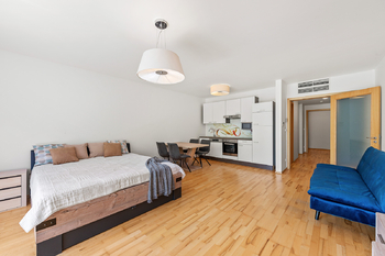 Prodej bytu 1+kk v osobním vlastnictví 75 m², Praha 3 - Žižkov