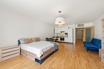 Prodej bytu 1+kk v osobním vlastnictví 75 m², Praha 3 - Žižkov