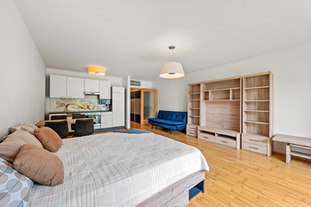 Prodej bytu 1+kk v osobním vlastnictví 75 m², Praha 3 - Žižkov