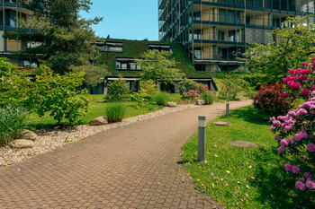 Prodej bytu 1+kk v osobním vlastnictví 75 m², Praha 3 - Žižkov