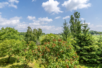 Prodej bytu 3+1 v družstevním vlastnictví 86 m², Chomutov