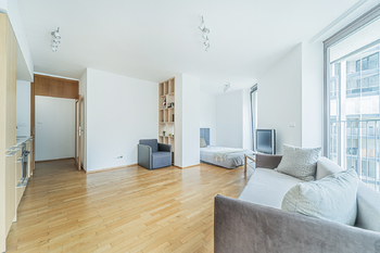 Prodej bytu 1+kk v osobním vlastnictví 58 m², Praha 3 - Žižkov