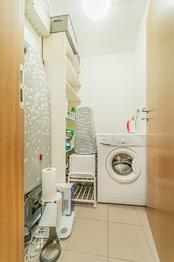 Prodej bytu 1+kk v osobním vlastnictví 58 m², Praha 3 - Žižkov
