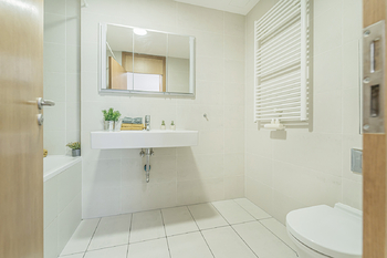 Prodej bytu 1+kk v osobním vlastnictví 58 m², Praha 3 - Žižkov