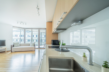 Prodej bytu 1+kk v osobním vlastnictví 58 m², Praha 3 - Žižkov