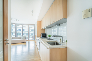 Prodej bytu 1+kk v osobním vlastnictví 58 m², Praha 3 - Žižkov