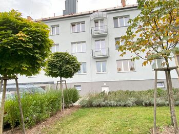 Pronájem bytu 3+kk v družstevním vlastnictví 63 m², Šumperk