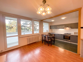 Pronájem bytu 3+kk v osobním vlastnictví 86 m², Praha 4 - Chodov