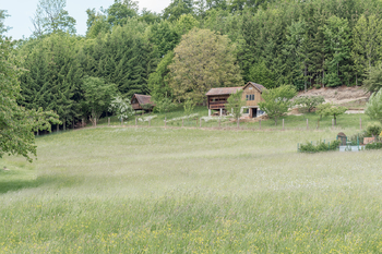 Pohled na lokalitu - Prodej pozemku 2000 m², Šedivec