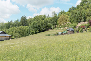 Pohled na lokalitu - Prodej pozemku 2000 m², Šedivec