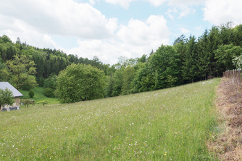 Pohled na lokalitu - Prodej pozemku 2000 m², Šedivec