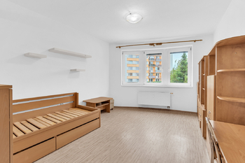 Prodej bytu 1+kk v osobním vlastnictví 34 m², Hradec Králové