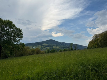 výhled na černou horu - Prodej chaty / chalupy 70 m², Lánov