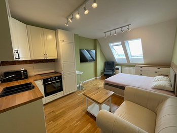 Pronájem bytu 1+kk v osobním vlastnictví 29 m², Praha 2 - Vinohrady