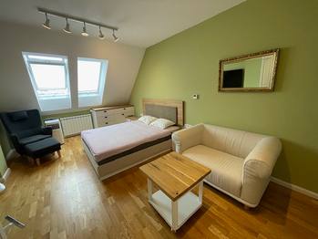 Pronájem bytu 1+kk v osobním vlastnictví 29 m², Praha 2 - Vinohrady