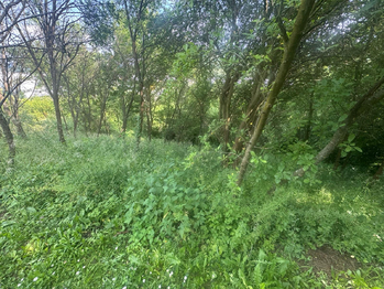 Prodej pozemku 888 m², Zlín