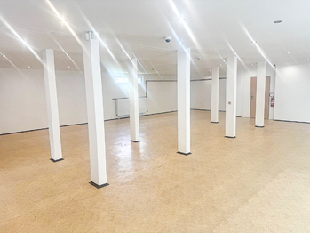Pronájem obchodních prostor 390 m², Kroměříž