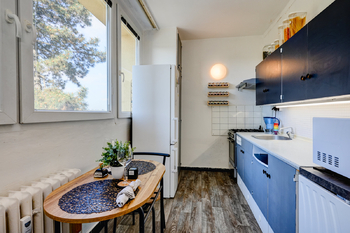 Prodej bytu 1+1 v osobním vlastnictví 41 m², Brno