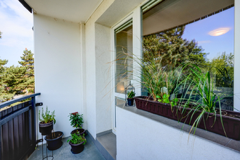 Prodej bytu 1+1 v osobním vlastnictví 41 m², Brno