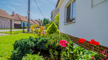 Prodej domu 128 m², Cetkovice