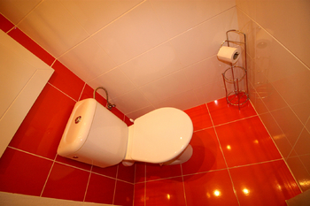 WC - Pronájem bytu 2+1 v osobním vlastnictví 41 m², České Budějovice