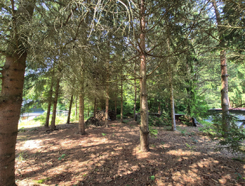 Prodej chaty / chalupy 35 m², Borušov